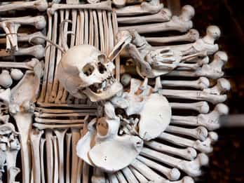 Ab Prag: Kutná Hora und Ossarium mit Mittagessen Ab Prag: Kutná Hora und Ossarium mit Mittagessen