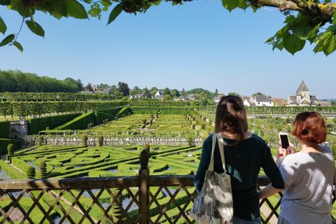 Tours: Chateaux Azay-le-Rideau and Villandry Morning Tour