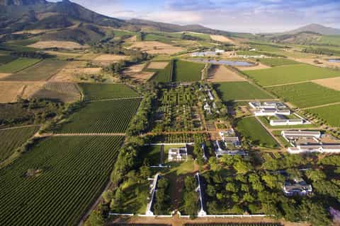 Desde Ciudad del Cabo: excursión de un día a Cape Winelands con degustaciones