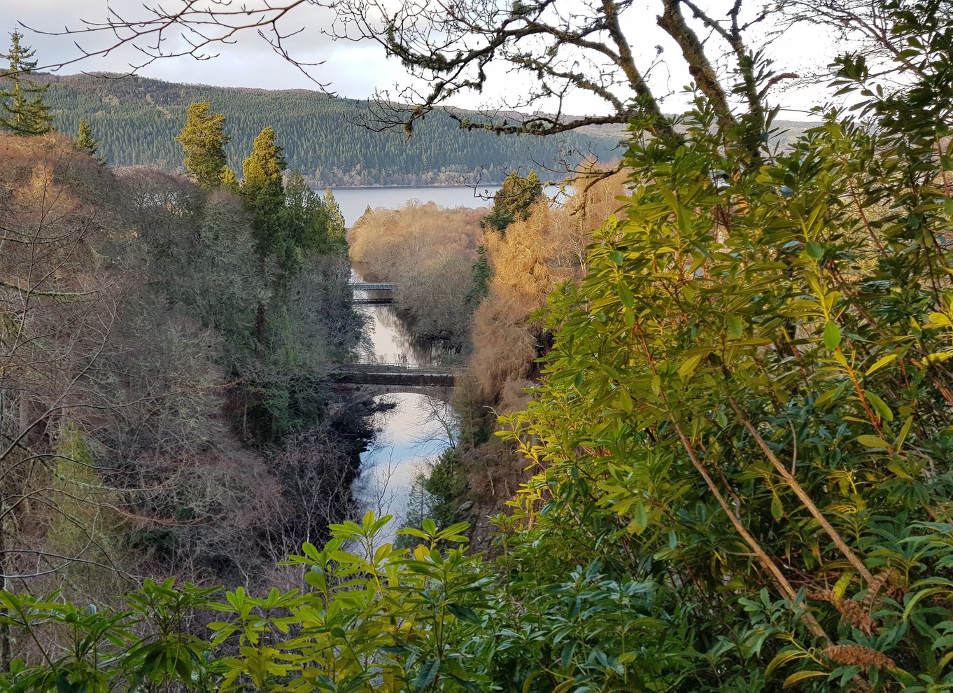 Inverness: Privat hemmelig vandretur til bredden af Loch Ness