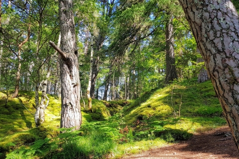 Inverness: caminata secreta privada a las orillas del lago Ness