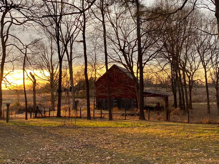 Nashville Rural American Farm Tour GetYourGuide