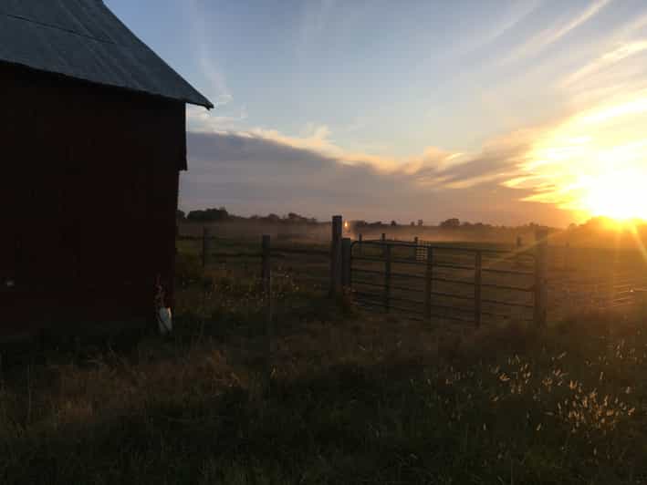 Nashville Rural American Farm Tour GetYourGuide