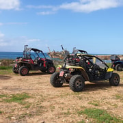 Pafos: Safari en Buggy a la Península de Akamas con almuerzo