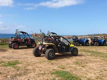 Paphos: Safari in buggy nella penisola di Akamas con pranzo