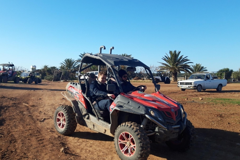 Paphos : Safari en buggy dans la péninsule d'Akamas avec déjeunerBuggy double passager