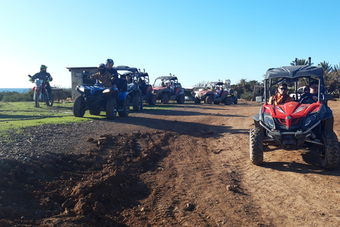 Paphos: Buggy Safari to Akamas Peninsula with Lunch Buggy Double Passenger