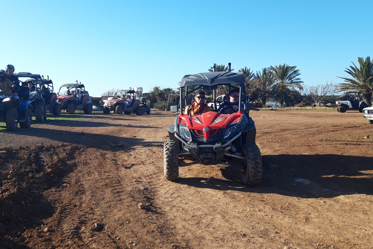 Paphos: Buggy Safari to Akamas Peninsula with LunchBuggy Double Passenger