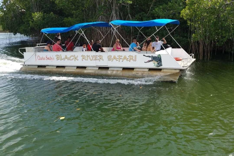 Jamaica: YS Falls en Black River Safari Day TourVanaf Negril Hotels
