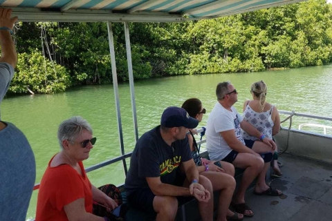 Jamaica: safari por el río Negro y cascadas YSDesde hoteles de Negril