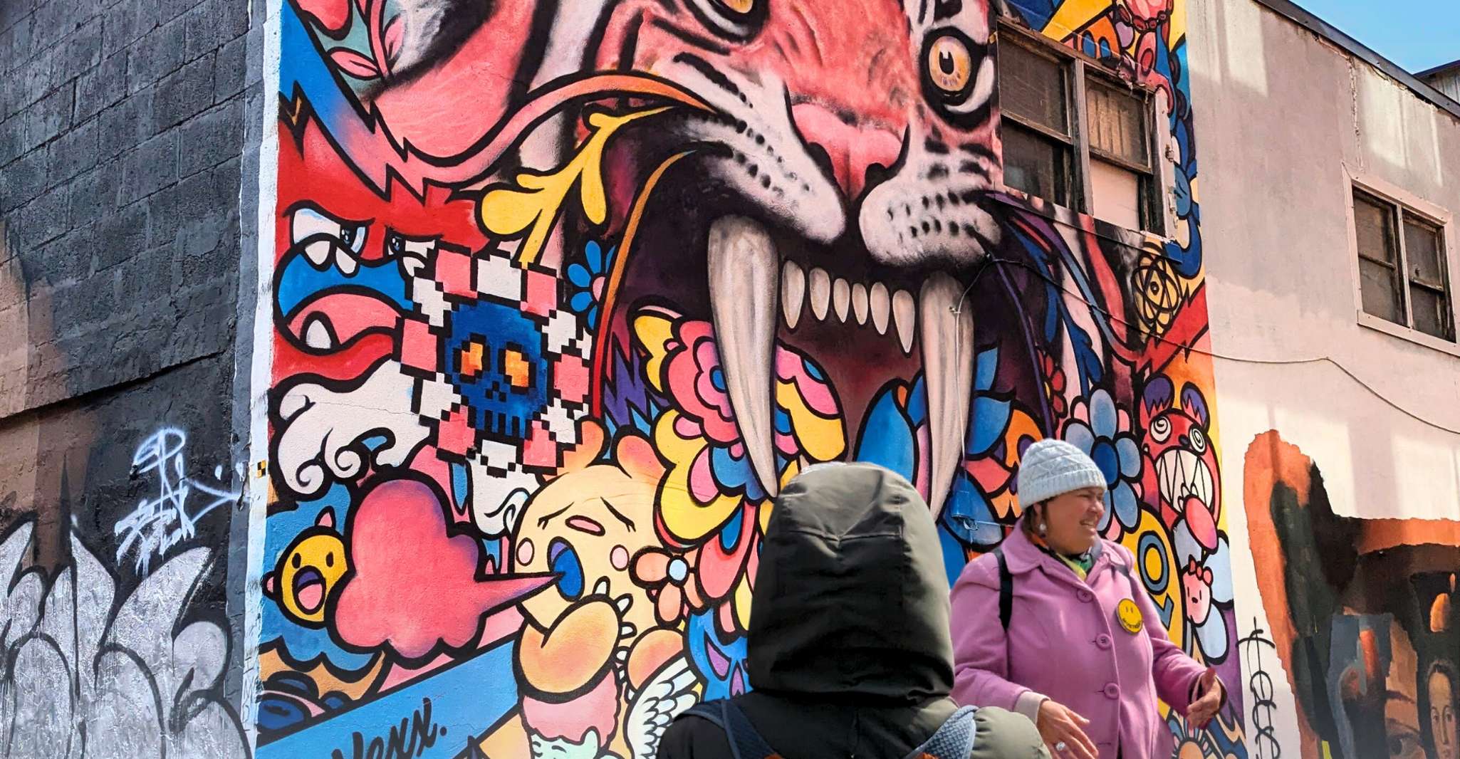 Montreal: Guided Walking Tour of Montreal's Murals