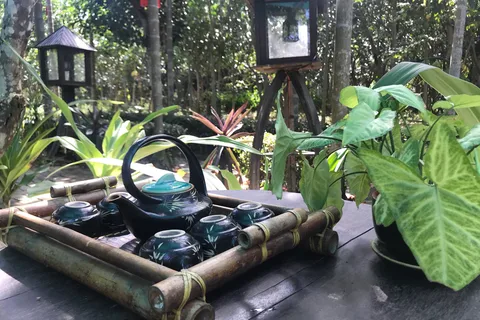 Hue: Excursión en bicicleta por el pueblo de Thuy Bieu con almuerzo