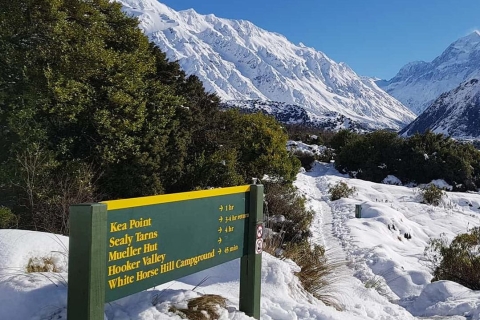 Ab Queenstown: Mount Cook KleingruppenausflugMount Cook-Tour & Heli Hiking zum Gletscher