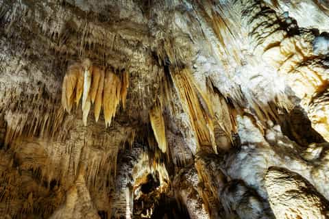 Auckland: Hobbiton Movie Set and Waitomo Small Group Tour