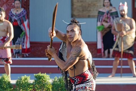 Da Auckland: Tour di gruppo Rotorua HighlightsTour di Rotorua con Te Puia e ingresso alle Terme Polinesiane