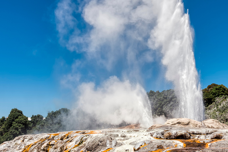 Tour em pequenos grupos de Auckland a Rotorua e itens extras de atividadesExcursão a Rotorua com caminhada pelas sequoias e entrada no Polynesian Spa