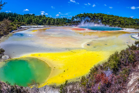 From Auckland: Rotorua Highlights Group Tour Rotorua Tour with Te Puia and Polynesian Spa Entry