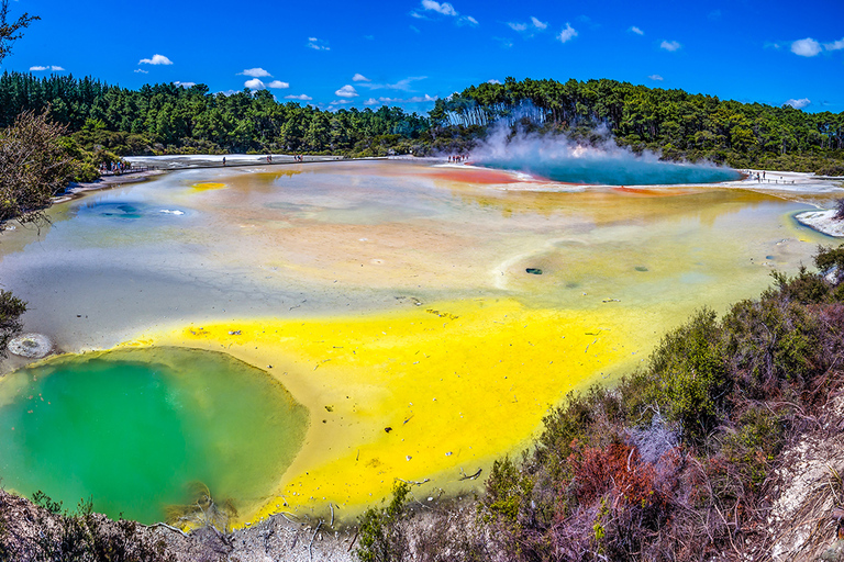 Från Auckland: Gruppresa till Rotoruas höjdpunkterRotorua Tour med inträde till Wai-O-Tapu Geothermal Park