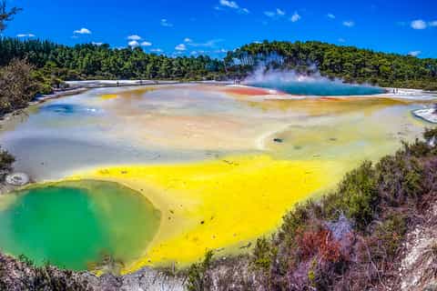 Excursiones y grupos pequeños de Auckland a Rotorua y complementos de actividades