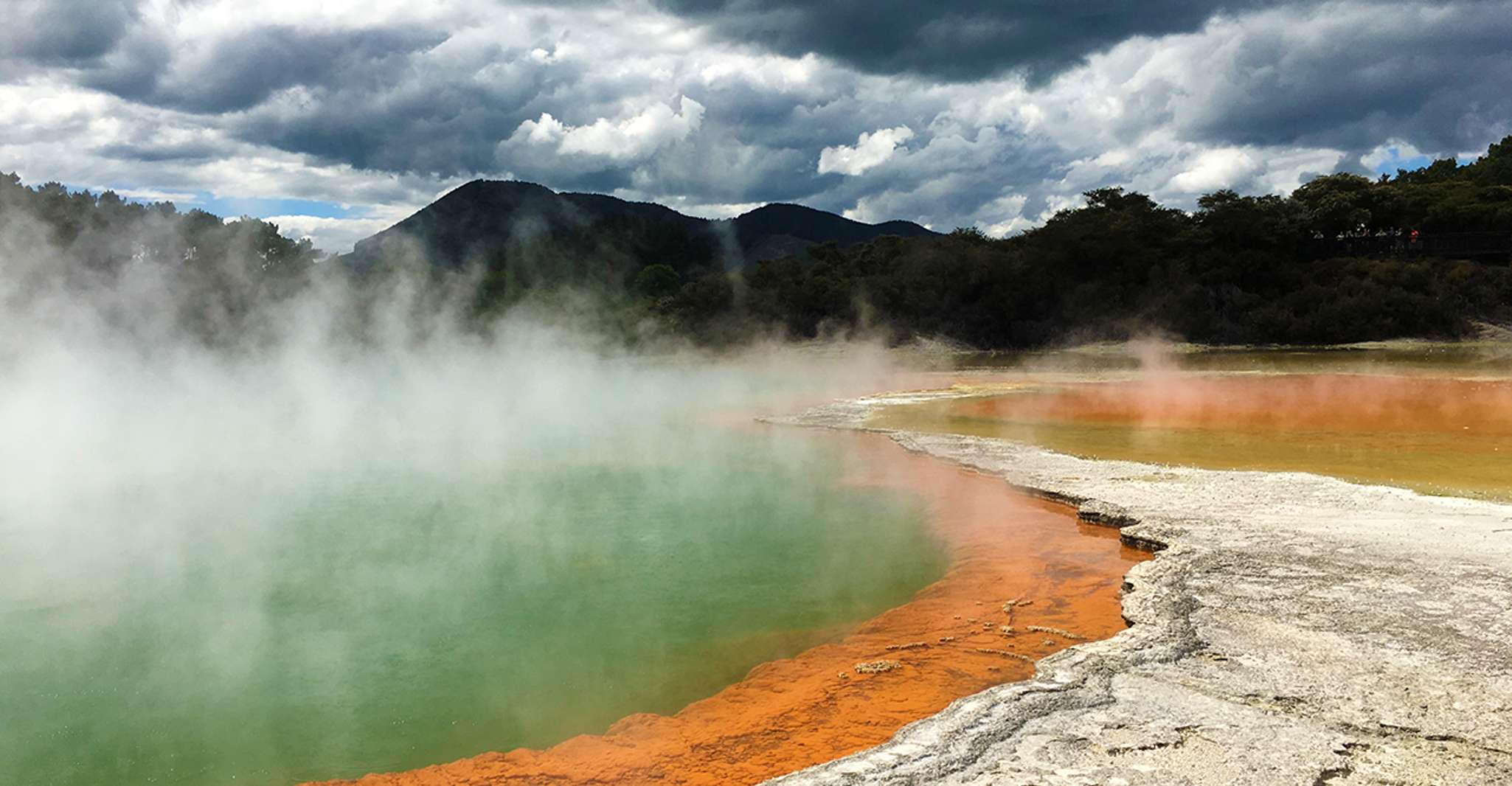 Auckland to Rotorua Small Group Tour & Activity Add-Ons - Hizvo
