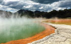From Auckland: Rotorua Highlights Group Tour
