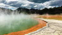 Auckland nach Rotorua Small Group Tour & Activity Add-Ons - Hizvo