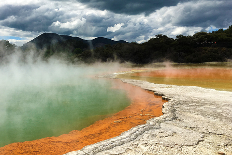 Tour em pequenos grupos de Auckland a Rotorua e itens extras de atividadesExcursão a Rotorua com caminhada pelas sequoias e entrada no Polynesian Spa