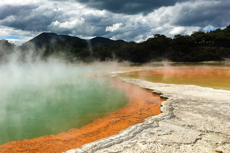 Tour em pequenos grupos de Auckland a Rotorua e itens extras de atividadesExcursão a Rotorua com caminhada pelas sequoias e entrada no Polynesian Spa