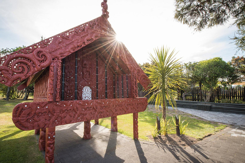 Från Auckland: Gruppresa till Rotoruas höjdpunkterRotorua Tour med inträde till Wai-O-Tapu Geothermal Park