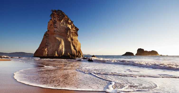 Auckland Coromandel Cathedral Cove & Hot Water Beach Tour GetYourGuide