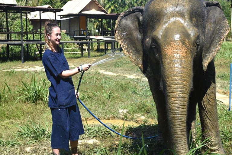 Ko Lanta Yai: recorrido de medio día por el santuario ético de elefantes