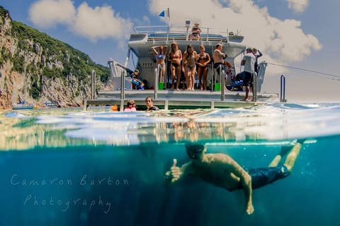 From Auckland: Poor Knights Islands Day Trip