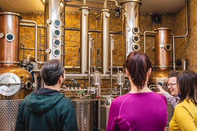 Budapest: Cata de whisky, ginebra y pálinka húngaros