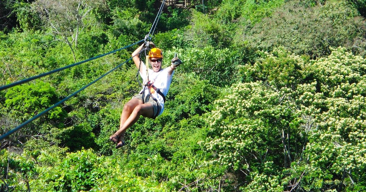 From Panama City Rainforest Zipline Adventure GetYourGuide