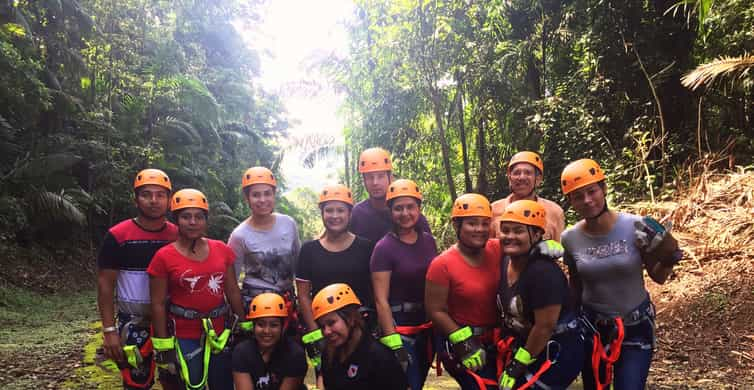 Desde Ciudad De Panamá Aventura En Tirolina Por La Selva Tropical