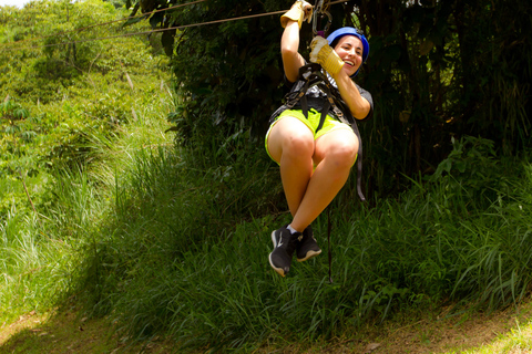 Från Panama City: Zipline-äventyr i regnskogen