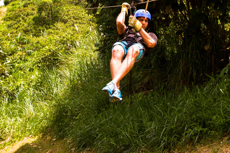 Au départ de Panama City : Aventure en tyrolienne dans la forêt tropicale