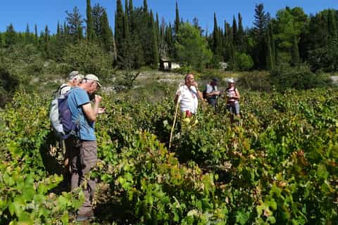 Zakynthos: 4 Hour Scenic Walking Tour