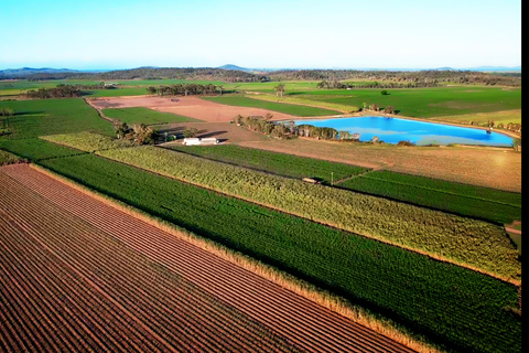 Mackay: 3 Hour Sugarcane Farm Tour