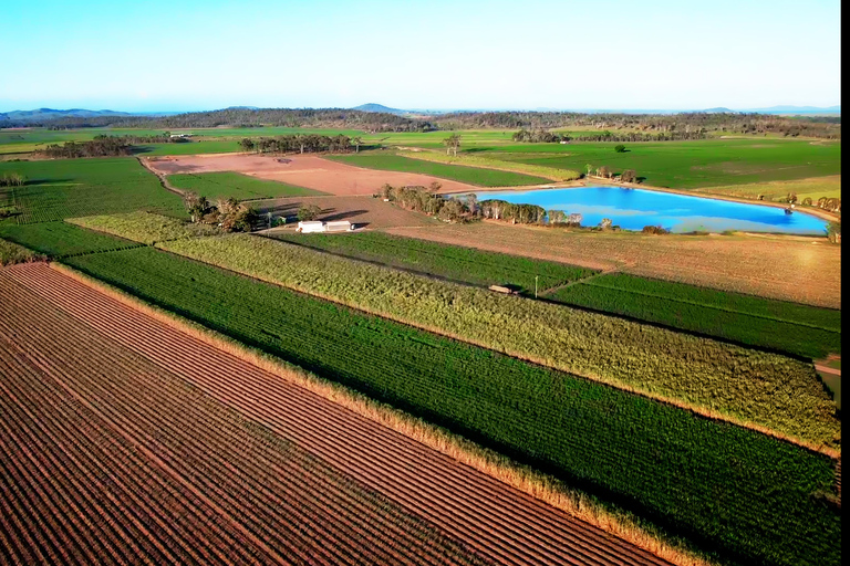 Mackay: 3 Hour Sugarcane Farm Tour