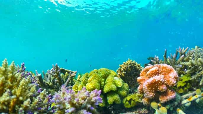 lombok secret island snorkeling trip with seafood lunch