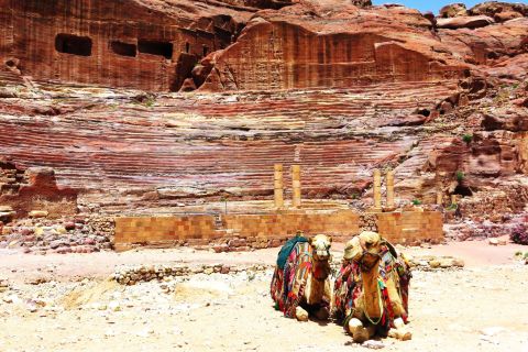 Van Amman: dagtrip naar Petra en Wadi Rum met hotelovername