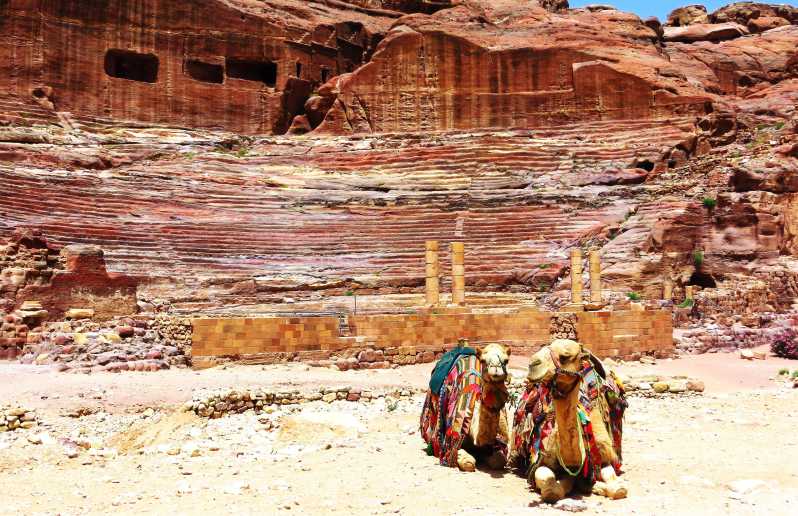 Amman ou Swemeh : Excursion d'une journée à Petra et Wadi Rum avec prise en charge à l'hôtel