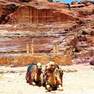 From Amman: Petra & Wadi Rum Day Trip with Hotel Pickup