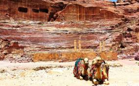 Amman or Swemeh: Petra & Wadi Rum Day Trip with Hotel Pickup