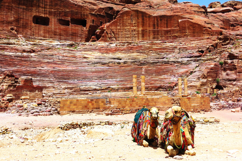 Depuis Amman: excursion d'une journée à Petra et au Wadi Rum avec prise en charge à l'hôtel