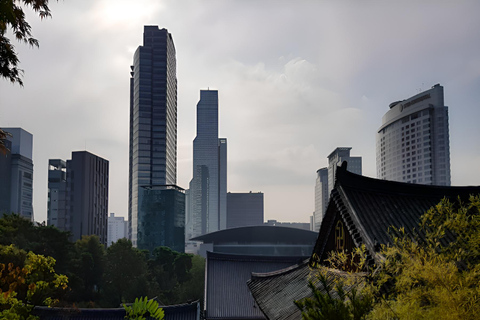 Seoul: Gangnam Time Travel, Royal Tombs to Starfield Library Chinese Guide