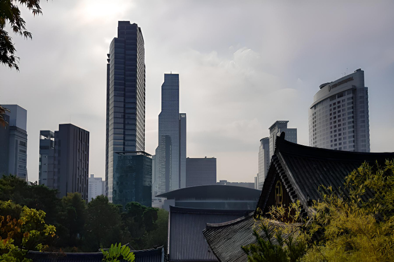 Seoul: Gangnam Time Travel, Royal Tombs to Starfield Library Chinese Guide