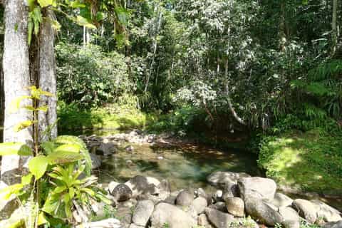 Guadalupe: recorrido por plantaciones, destilería y jardín criollo