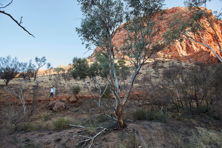 From Alice Springs: West MacDonnell Ranges Half Day Trip